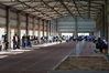 Nome del file=2014_01_26_Iglesias_Indoor_3287.JPG
Dimensione del file=9993KiB
Dimensioni=4608x3072
Aggiunta il=27 Gen 2014 2014_01_26_Iglesias_Indoor_3287.JPG