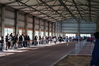 Nome del file=2014_01_26_Iglesias_Indoor_3325.JPG
Dimensione del file=10022KiB
Dimensioni=4608x3072
Aggiunta il=27 Gen 2014 2014_01_26_Iglesias_Indoor_3325.JPG