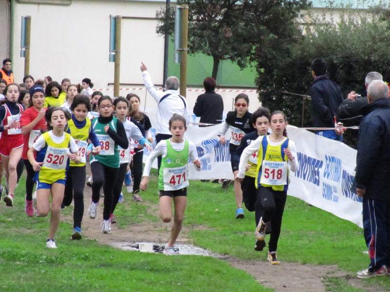 Clicca per vedere l'immagine alla massima grandezza