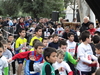 2014_03_02_olbia_cross_4385.JPG