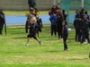 Nome del file=2014_03_23_grand_prix_regionale_cagliari_020.JPG
Dimensione del file=2870KiB
Dimensioni=3264x2448
Aggiunta il=23 Mar 2014 2014_03_23_grand_prix_regionale_cagliari_020.JPG