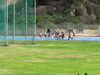 Nome del file=2014_03_23_grand_prix_regionale_cagliari_078.JPG
Dimensione del file=3328KiB
Dimensioni=3264x2448
Aggiunta il=23 Mar 2014 2014_03_23_grand_prix_regionale_cagliari_078.JPG