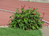 2014_06_02_oristano_GP_camp_prove_multiple_7038.JPG