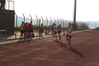 2014_06_07_atleticapiu_04_giornata_dorgali_as_7855.JPG