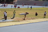 Nome del file=2014_10_19_grand_prix_cagliari_as_8443.JPG
Dimensione del file=9668KiB
Dimensioni=4608x3072
Aggiunta il=20 Ott 2014 2014_10_19_grand_prix_cagliari_as_8443.JPG