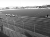 2014_12_07_dorgali_atleticapiu_101535.jpg