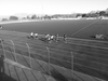 2014_12_07_dorgali_atleticapiu_101536.jpg