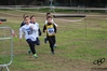 Nome del file=2015_02_01_ugolio_as_00010.jpg
Dimensione del file=7779KiB
Dimensioni=4608x3072
Aggiunta il=15 Feb 2015 2015_02_01_ugolio_as_00010.jpg