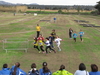 Nome del file=2015_02_15_orosei_campionato_provinciale_0334.JPG
Dimensione del file=239KiB
Dimensioni=1024x768
Aggiunta il=15 Feb 2015 2015_02_15_orosei_campionato_provinciale_0334.JPG