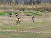 Nome del file=2015_02_15_orosei_campionato_provinciale_0339.JPG
Dimensione del file=264KiB
Dimensioni=1024x768
Aggiunta il=15 Feb 2015 2015_02_15_orosei_campionato_provinciale_0339.JPG
