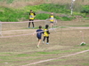 Nome del file=2015_02_15_orosei_campionato_provinciale_0361.JPG
Dimensione del file=276KiB
Dimensioni=1024x768
Aggiunta il=15 Feb 2015 2015_02_15_orosei_campionato_provinciale_0361.JPG