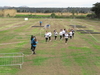 Nome del file=2015_02_15_orosei_campionato_provinciale_0383.JPG
Dimensione del file=233KiB
Dimensioni=1024x768
Aggiunta il=15 Feb 2015 2015_02_15_orosei_campionato_provinciale_0383.JPG