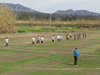 Nome del file=2015_02_15_orosei_campionato_provinciale_0388.JPG
Dimensione del file=218KiB
Dimensioni=1024x768
Aggiunta il=15 Feb 2015 2015_02_15_orosei_campionato_provinciale_0388.JPG