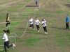 Nome del file=2015_02_15_orosei_campionato_provinciale_0390.JPG
Dimensione del file=236KiB
Dimensioni=1024x768
Aggiunta il=15 Feb 2015 2015_02_15_orosei_campionato_provinciale_0390.JPG
