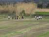 Nome del file=2015_02_15_orosei_campionato_provinciale_0395.JPG
Dimensione del file=244KiB
Dimensioni=1024x768
Aggiunta il=15 Feb 2015 2015_02_15_orosei_campionato_provinciale_0395.JPG