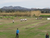 Nome del file=2015_02_15_orosei_campionato_provinciale_0396.JPG
Dimensione del file=196KiB
Dimensioni=1024x768
Aggiunta il=15 Feb 2015 2015_02_15_orosei_campionato_provinciale_0396.JPG