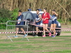 Nome del file=2015_02_15_orosei_campionato_provinciale_0427.JPG
Dimensione del file=292KiB
Dimensioni=1024x768
Aggiunta il=15 Feb 2015 2015_02_15_orosei_campionato_provinciale_0427.JPG