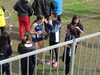 Nome del file=2015_02_15_orosei_campionato_provinciale_0502.JPG
Dimensione del file=286KiB
Dimensioni=1024x768
Aggiunta il=15 Feb 2015 2015_02_15_orosei_campionato_provinciale_0502.JPG