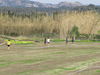 Nome del file=2015_02_15_orosei_campionato_provinciale_0510.JPG
Dimensione del file=288KiB
Dimensioni=1024x768
Aggiunta il=15 Feb 2015 2015_02_15_orosei_campionato_provinciale_0510.JPG