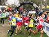 Nome del file=2015_02_22_olbia_cross_campionato_individuale_0692.JPG
Dimensione del file=325KiB
Dimensioni=1280x960
Aggiunta il=22 Feb 2015 2015_02_22_olbia_cross_campionato_individuale_0692.JPG