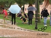 Nome del file=2015_02_22_olbia_cross_campionato_individuale_0768.JPG
Dimensione del file=277KiB
Dimensioni=1280x960
Aggiunta il=22 Feb 2015 2015_02_22_olbia_cross_campionato_individuale_0768.JPG