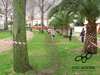 2015_02_22_olbia_cross_campionato_individuale_0795.JPG