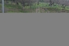2015_04_12_atleticapiu_02_orani_as_00233.jpg