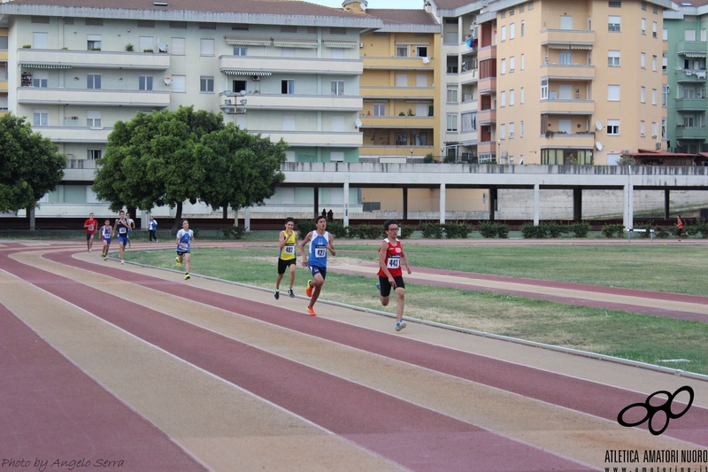 Clicca per vedere l'immagine alla massima grandezza