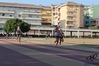 Nome del file=2015_07_15_sassari_studium_e_stadium_as__00030.jpg
Dimensione del file=7554KiB
Dimensioni=4608x3072
Aggiunta il=16 Lug 2015 2015_07_15_sassari_studium_e_stadium_as__00030.jpg