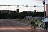 Nome del file=2015_09_19_20_Campionato_Regle_individuale_cadetti_allievi_as_00132.jpg
Dimensione del file=6697KiB
Dimensioni=4608x3072
Aggiunta il=22 Set 2015 2015_09_19_20_Campionato_Regle_individuale_cadetti_allievi_as_00132.jpg