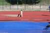 Nome del file=2015_11_08_Macomer_Atleticapi__as_00161.jpg
Dimensione del file=7059KiB
Dimensioni=4608x3072
Aggiunta il=08 Nov 2015 2015_11_08_Macomer_Atleticapi__as_00161.jpg