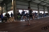 Nome del file=2016_02_07_Campionato_regionale_indoor_as_00137.jpg
Dimensione del file=7466KiB
Dimensioni=4608x3072
Aggiunta il=09 Feb 2016 2016_02_07_Campionato_regionale_indoor_as_00137.jpg