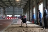 Nome del file=2016_02_07_Campionato_regionale_indoor_as_00275.jpg
Dimensione del file=7951KiB
Dimensioni=4608x3072
Aggiunta il=09 Feb 2016 2016_02_07_Campionato_regionale_indoor_as_00275.jpg
