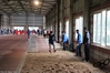 Nome del file=2016_02_07_Campionato_regionale_indoor_as_00292.jpg
Dimensione del file=8307KiB
Dimensioni=4608x3072
Aggiunta il=09 Feb 2016 2016_02_07_Campionato_regionale_indoor_as_00292.jpg