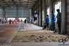 Nome del file=2016_02_07_Campionato_regionale_indoor_as_00319.jpg
Dimensione del file=7978KiB
Dimensioni=4608x3072
Aggiunta il=09 Feb 2016 2016_02_07_Campionato_regionale_indoor_as_00319.jpg