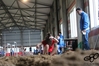 2016_02_07_Campionato_regionale_indoor_as_00367.jpg