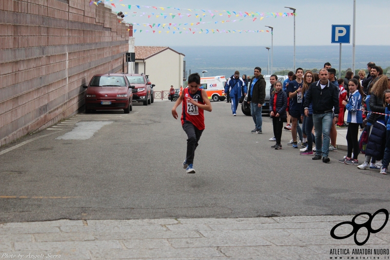 Clicca per vedere l'immagine alla massima grandezza