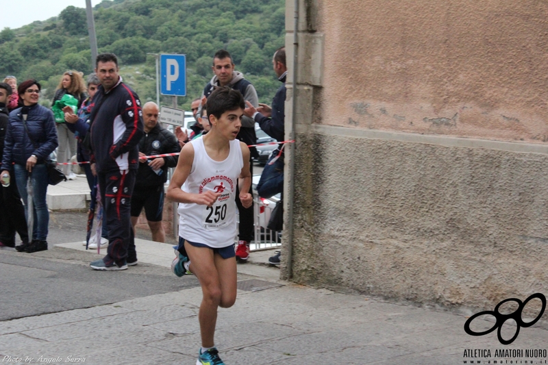 Clicca per vedere l'immagine alla massima grandezza