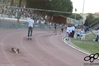 Nome del file=2016_06_25_oristano_1gg_cds_as_00171.jpg
Dimensione del file=7570KiB
Dimensioni=4608x3072
Aggiunta il=26 Giu 2016 2016_06_25_oristano_1gg_cds_as_00171.jpg