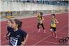 Nome del file=2016_10_08_Orani__Atleticapiu_as_00253.jpg
Dimensione del file=6928KiB
Dimensioni=4608x3084
Aggiunta il=09 Ott 2016 2016_10_08_Orani__Atleticapiu_as_00253.jpg