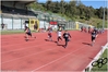 Nome del file=2017_04_23_25E_Giornata_Atleticapi__2017_as_00176.jpg
Dimensione del file=9660KiB
Dimensioni=4608x3084
Aggiunta il=30 Apr 2017 2017_04_23_25E_Giornata_Atleticapi__2017_as_00176.jpg