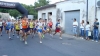 Nome del file=DSC00617.JPG
Dimensione del file=52KiB
Dimensioni=600x338
Aggiunta il=21 Giu 2009 DSC00617.JPG