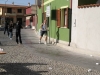 Nome del file=San_Gavino_180.JPG
Dimensione del file=63KiB
Dimensioni=600x450
Aggiunta il=09 Gen 2008 San_Gavino_180.JPG