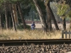 San_Gavino_273.JPG