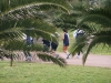 DSCF7046.JPG
