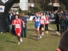 DSCF7068.JPG