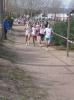 P1000247.JPG