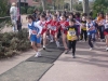 P1000290.JPG