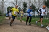 Nome del file=cross_olbia2010_289.jpg
Dimensione del file=82KiB
Dimensioni=600x400
Aggiunta il=30 Gen 2010 cross_olbia2010_289.jpg