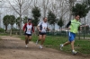 Nome del file=cross_olbia2010_297.jpg
Dimensione del file=84KiB
Dimensioni=600x400
Aggiunta il=30 Gen 2010 cross_olbia2010_297.jpg